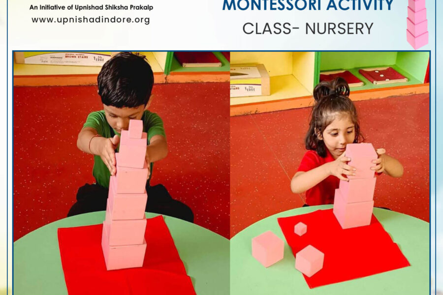 Pink Tower – Montessori Activity