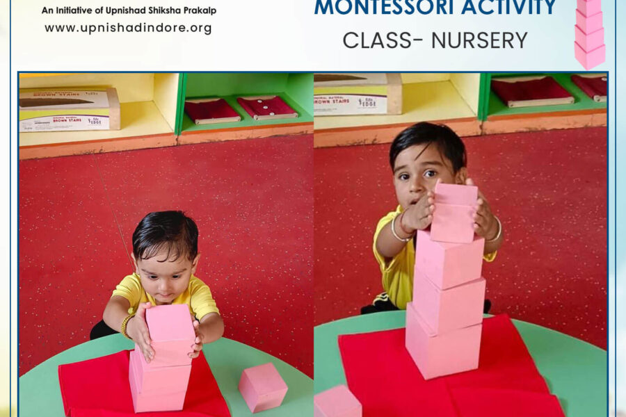 Pink Tower – Montessori Activity