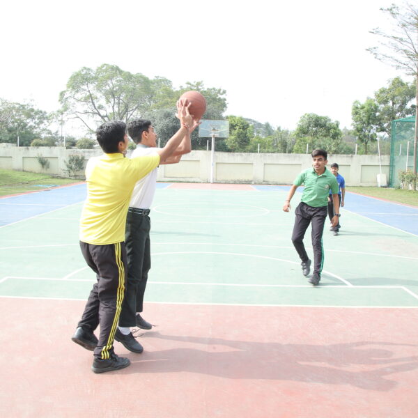 School Campus 2